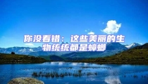 你沒看錯:這些美麗的生物統統都是蟑螂