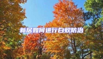 新居如何進行白蟻防治