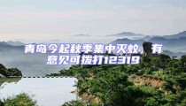 青島今起秋季集中滅蚊,有意見可撥打12319