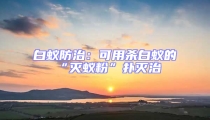 白蟻防治:可用殺白蟻的“滅蟻粉”撲滅治