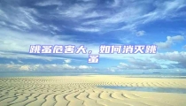 跳蚤危害大,如何消滅跳蚤