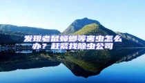 發現老鼠蟑螂等害蟲怎么辦?趕緊找除蟲公司