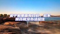 弟子家里面有白蟻,若不噴藥就沒辦法居住