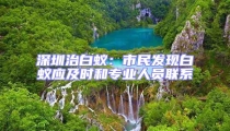 深圳治白蟻:市民發現白蟻應及時和專業人員聯系