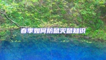 春季如何防鼠滅鼠知識(shí)