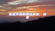 家庭滅蟑的最佳時機:春季