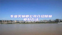 專(zhuān)業(yè)滅蟑螂公司介紹除蟑螂好方法