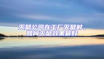 滅鼠公司在工廠滅鼠時,如何滅鼠效果最好