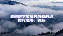 美國科學家研究白蟻防治的方法用:錦標