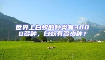 世界上白蟻的種類有3000多種,白蟻有多少種?