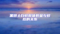 黑翅土白蟻群體數(shù)量與蟻后的關(guān)系