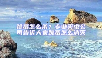 跳蚤怎么殺?專業滅蟲公司告訴大家跳蚤怎么消滅