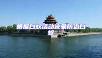 根據白蟻活動跡象防治白蟻