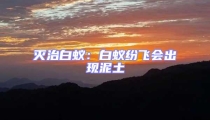 滅治白蟻:白蟻紛飛會出現泥土