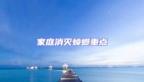 家庭消滅蟑螂重點