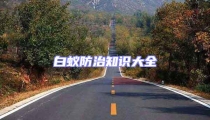 白蟻防治知識大全