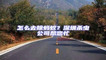 怎么去除螞蟻?深圳殺蟲公司幫您忙