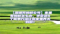【深圳滅螞蟻公司】家里有螞蟻怎么辦,學會這4個簡單方法讓你家里再無螞蟻!