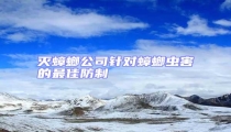 滅蟑螂公司針對蟑螂蟲害的最佳防制