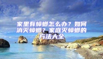 家里有蟑螂怎么辦?如何消滅蟑螂?家庭滅蟑螂的方法大全