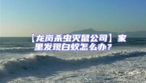 【龍崗殺蟲滅鼠公司】家里發現白蟻怎么辦?