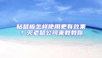 粘鼠板怎樣使用更有效果?滅老鼠公司來教教你