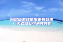 粘鼠板怎樣使用更有效果？滅老鼠公司來教教你