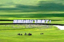 深圳白蟻分飛期來了！