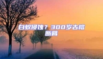 白蟻侵蝕?300歲古榕斷臂