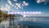白蟻對電力電纜設施的危害