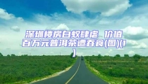 深圳樓房白蟻肆虐 價值百萬元普洱茶遭吞食(圖)(1)