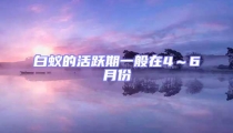 白蟻的活躍期一般在4~6月份