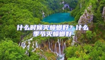 什么時(shí)候滅蟑螂好?什么季節(jié)滅蟑螂好