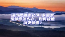 深圳除四害公司 家里發現蟑螂怎么辦，如何快速消滅蟑螂？