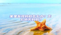 家里發現螞蟻怎么辦?怎么消滅螞蟻?