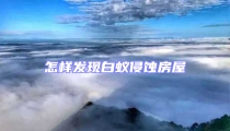 怎樣發現白蟻侵蝕房屋