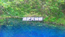 酒吧滅蟑螂