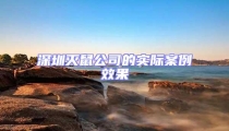 深圳滅鼠公司的實際案例效果