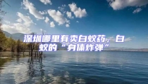 深圳哪里有賣白蟻藥,白蟻的“身體炸彈”