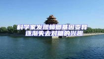 科學家發現蟑螂基因變異 逐漸失去對糖的興趣