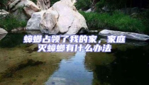 蟑螂占領了我的家,家庭滅蟑螂有什么辦法