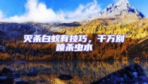 滅殺白蟻有技巧,千萬別噴殺蟲水