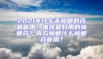 2021年什么殺蟑螂的藥最管用?推薦最好用的蟑螂藥?南方蟑螂什么蟑螂藥管用?