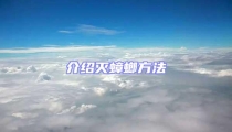 介紹滅蟑螂方法