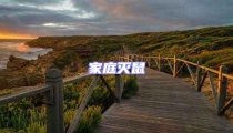 家庭滅鼠