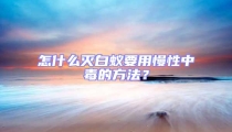 怎什么滅白蟻要用慢性中毒的方法?