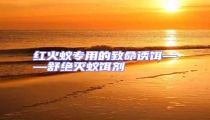 紅火蟻專用的致命誘餌——舒絕滅蟻餌劑