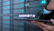 白蟻防重于治