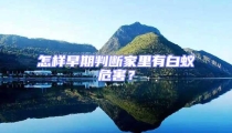 怎樣早期判斷家里有白蟻危害?