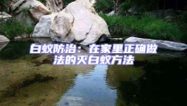 白蟻防治:在家里正確做法的滅白蟻方法
